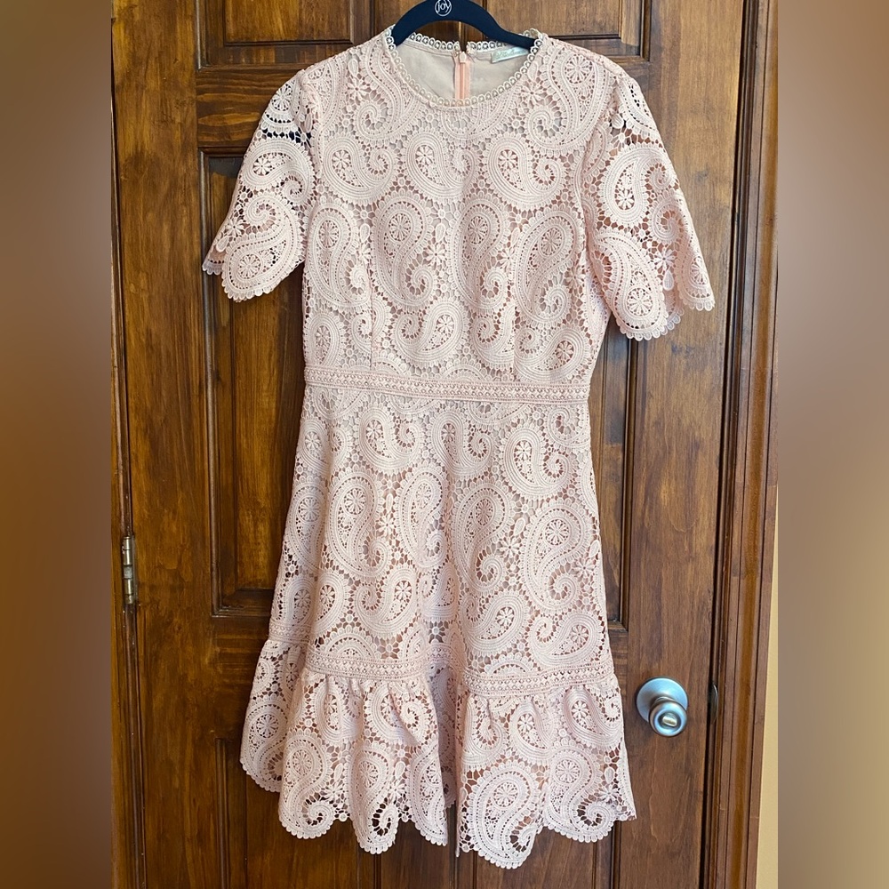 Shoshanna Blush Lace Fit-and-Flare Dress